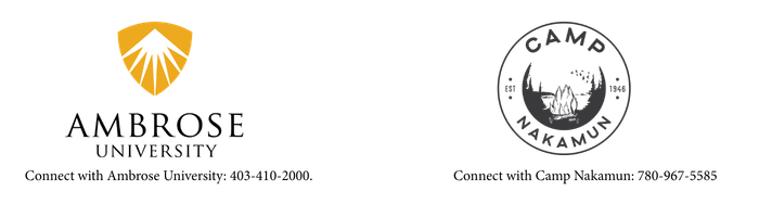 Body-2 Body-2